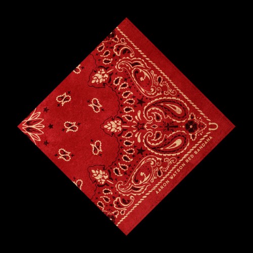 zr50qks8evx5b_600.jpg