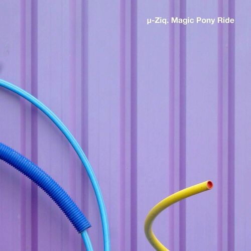 Ziq---Magic-Pony-Ride.jpg
